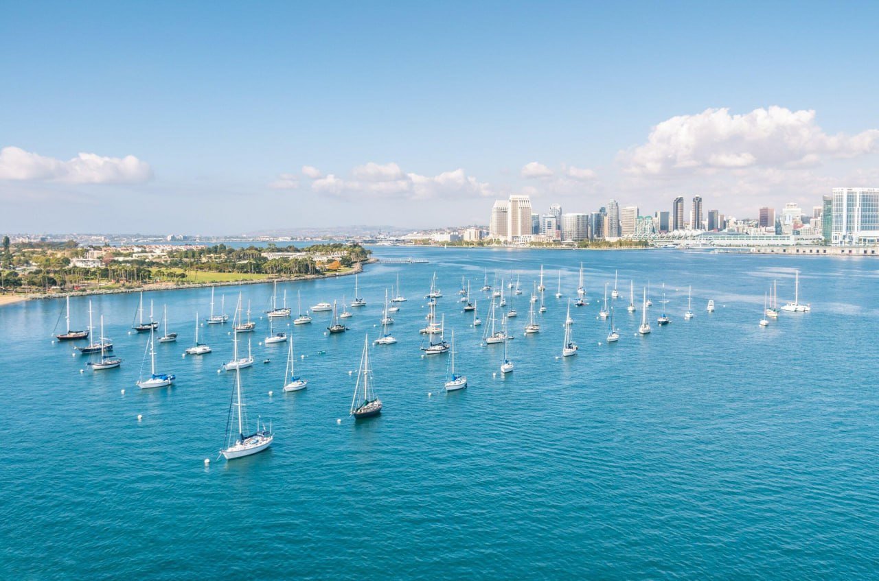 Sailboats in San Diego harbor with downtown skyline — Hafnia Insurance Services serves clients in San Diego and across California.